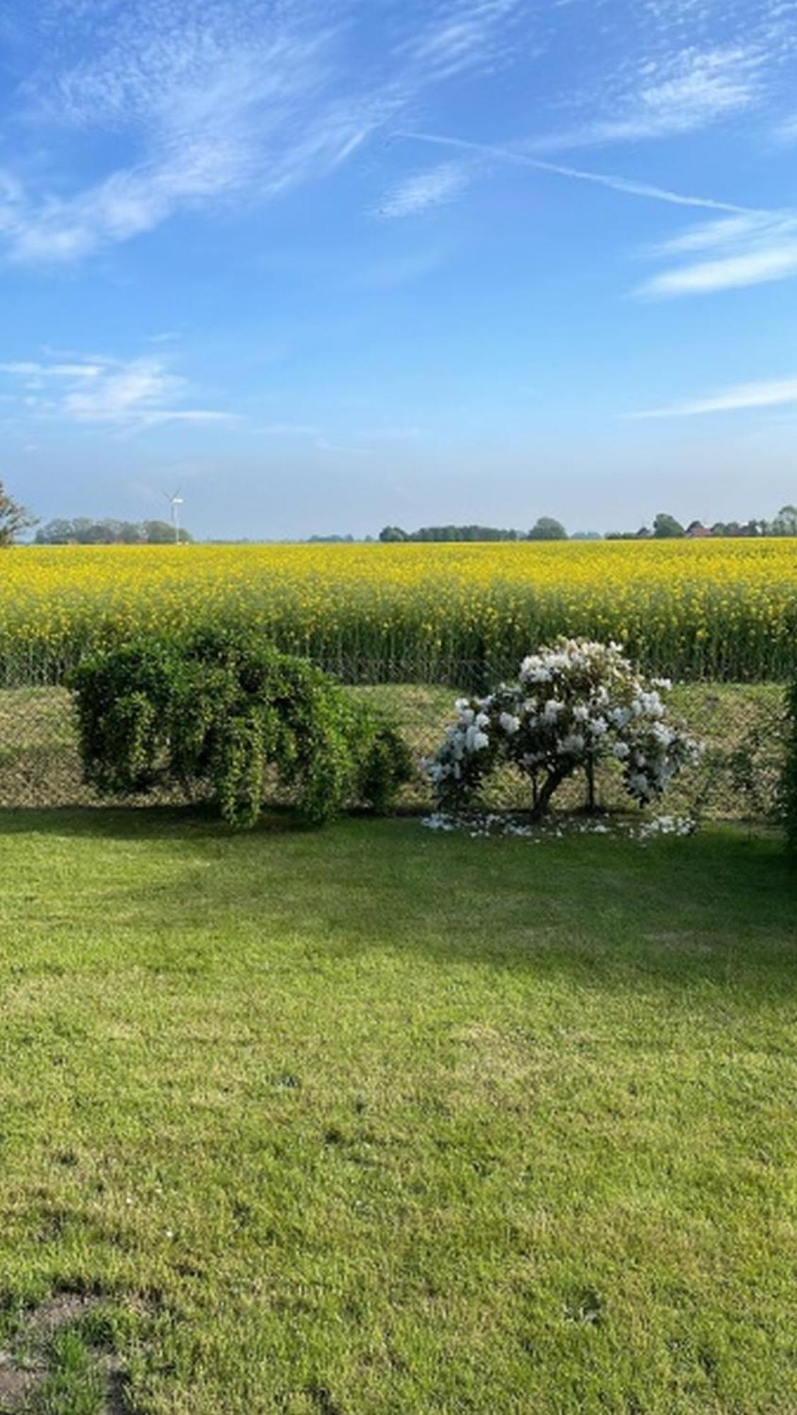 Willa Nordseekueste Am Deich Mit Schoenem Garten Neßmersiel Zewnętrze zdjęcie